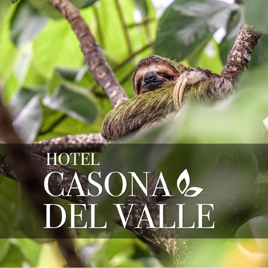 Casona Del Valle Potrerillos Ngoại thất bức ảnh